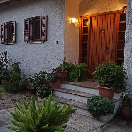 Nafpaktos Cottage By The Sea For Travelers And Dreamers! Zewnętrze zdjęcie