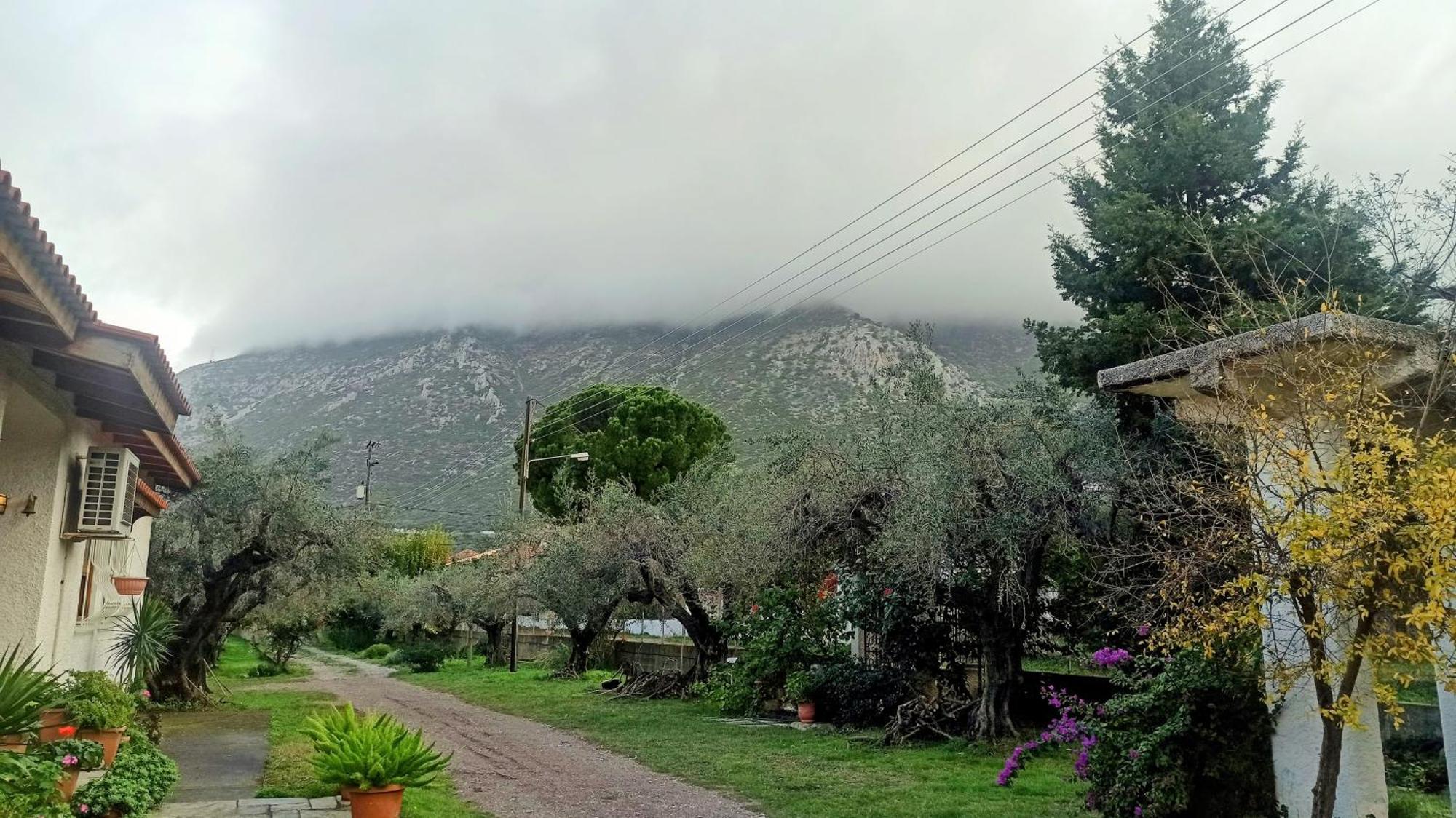 Nafpaktos Cottage By The Sea For Travelers And Dreamers! Zewnętrze zdjęcie