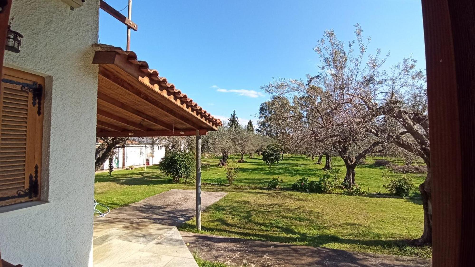 Nafpaktos Cottage By The Sea For Travelers And Dreamers! Zewnętrze zdjęcie